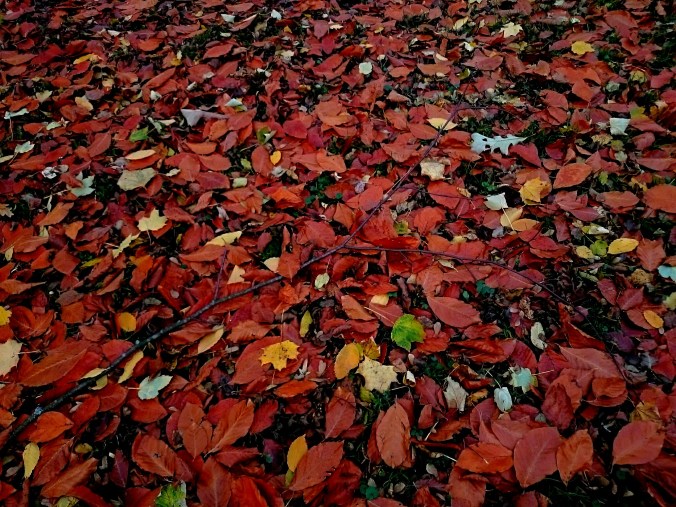 How do you use the fire inside you?